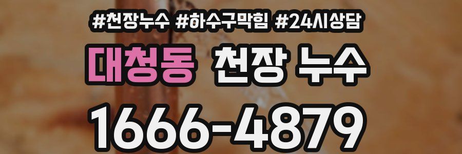 대청동 천장 누수