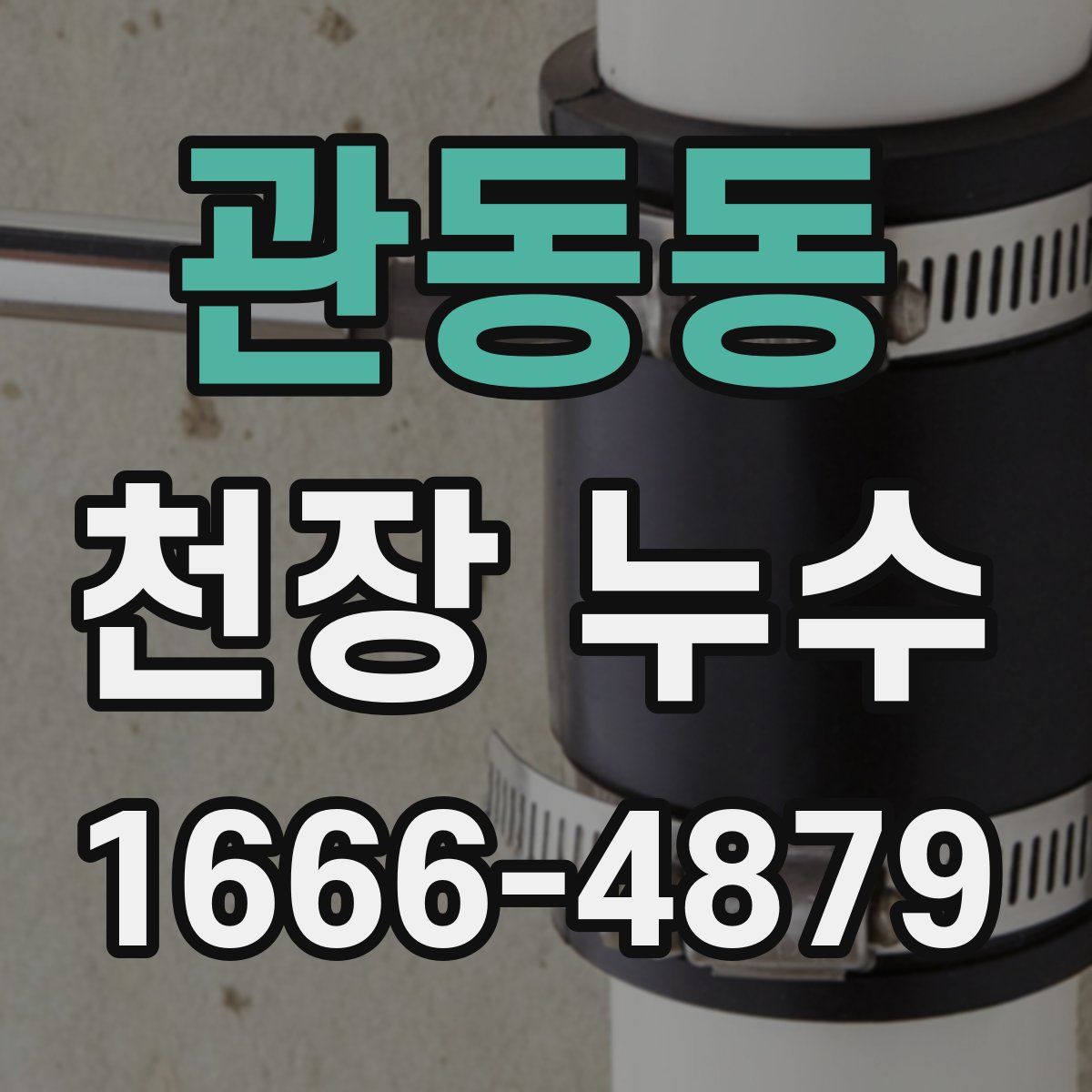 관동동 천장 누수