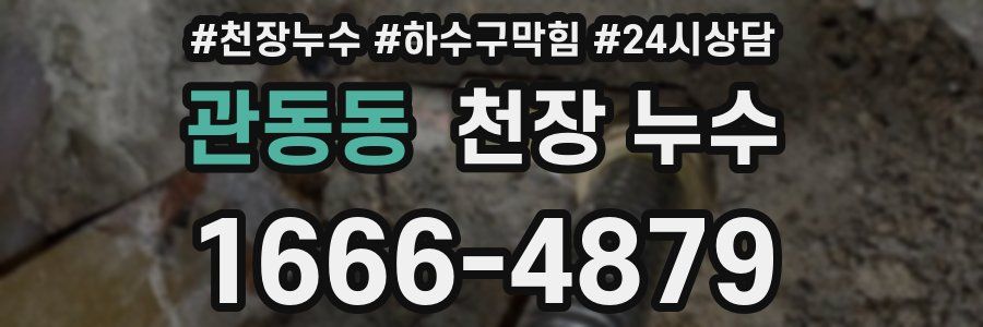 관동동 천장 누수