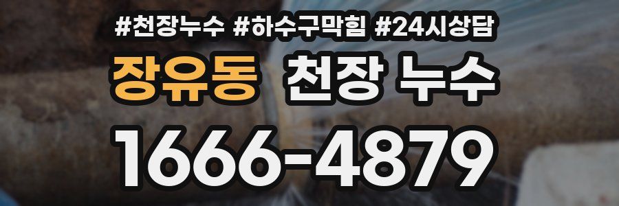 장유동 천장 누수