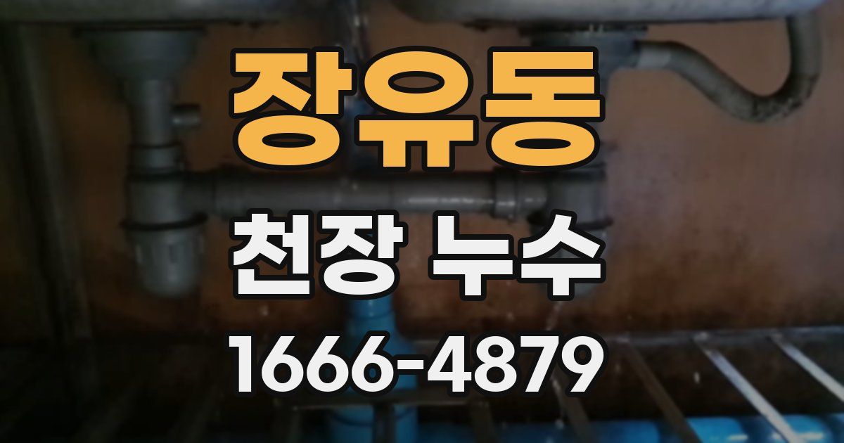 장유동 천장 누수