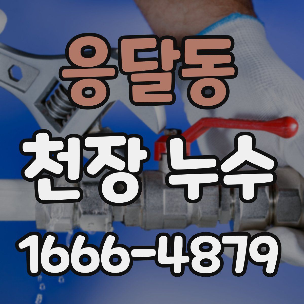 응달동 천장 누수