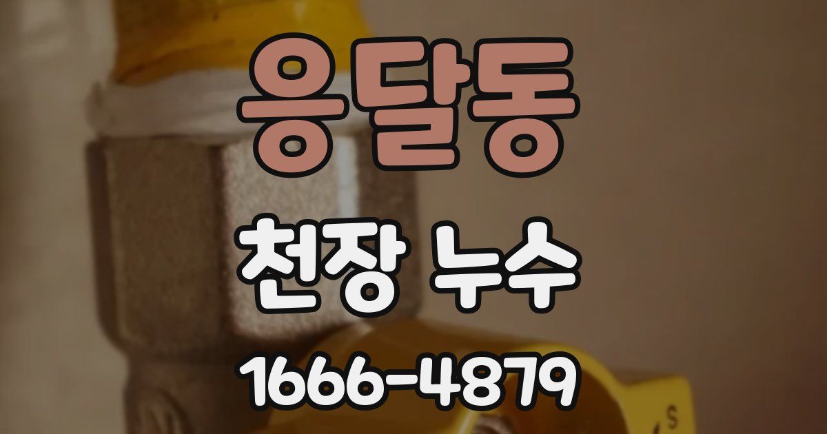 응달동 천장 누수