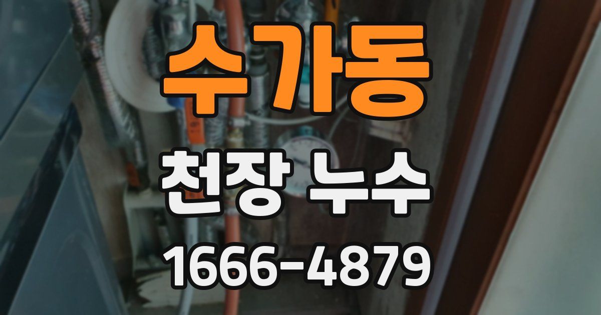 수가동 천장 누수