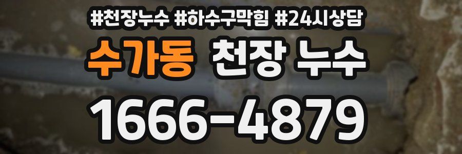 수가동 천장 누수