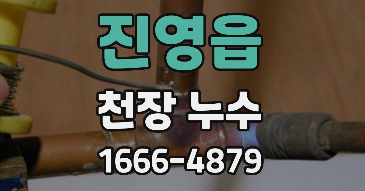 진영읍 천장 누수