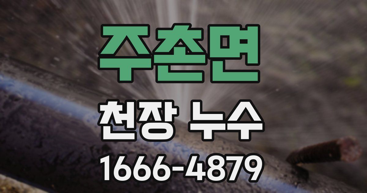 주촌면 천장 누수