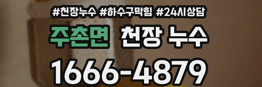 주촌면 천장 누수