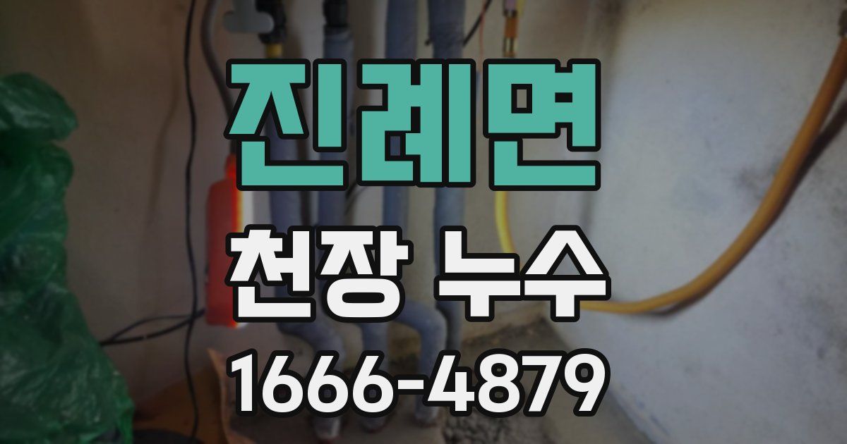 진례면 천장 누수