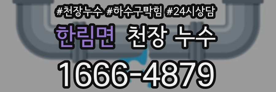 한림면 천장 누수