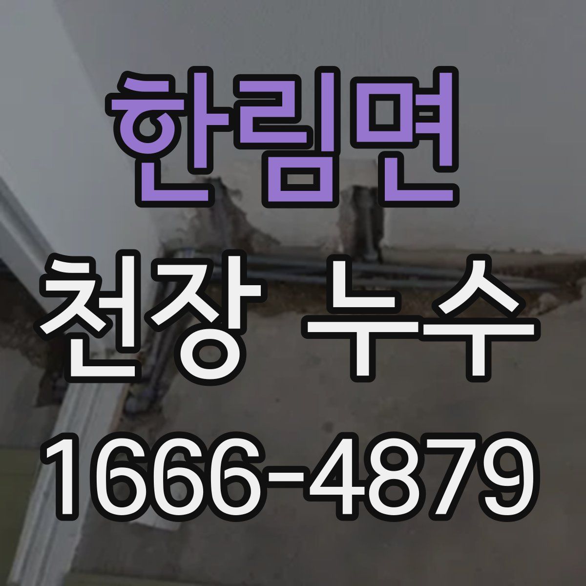 한림면 천장 누수