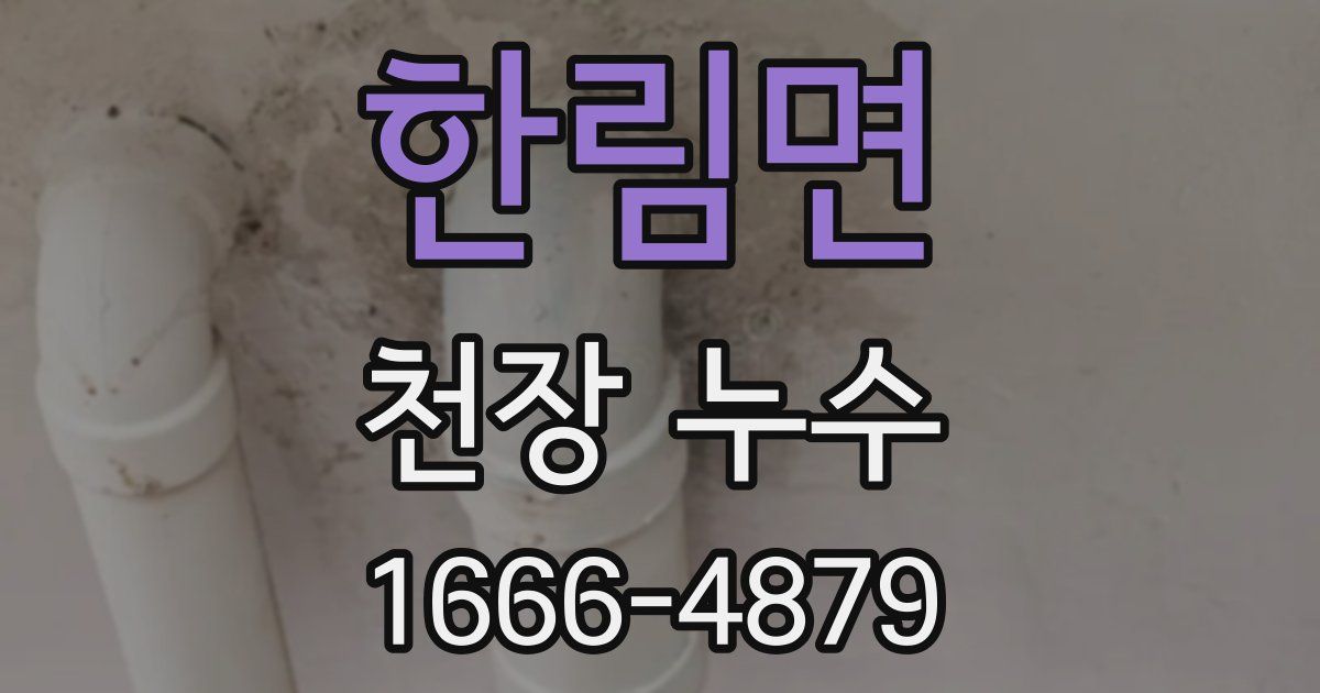 한림면 천장 누수