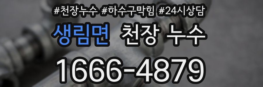 생림면 천장 누수