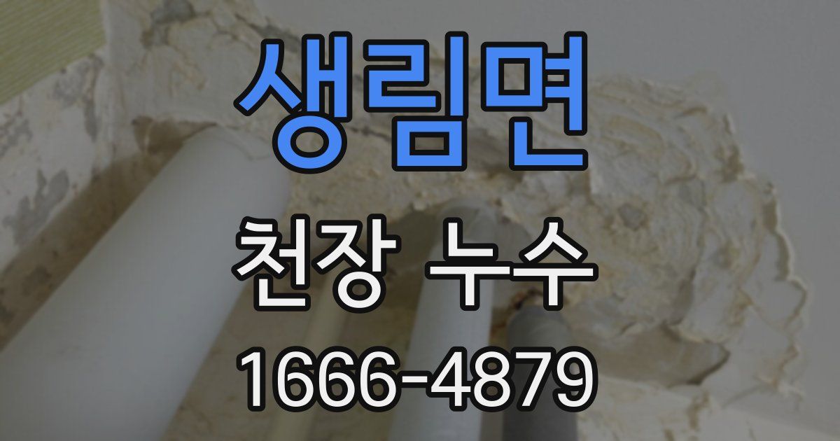 생림면 천장 누수
