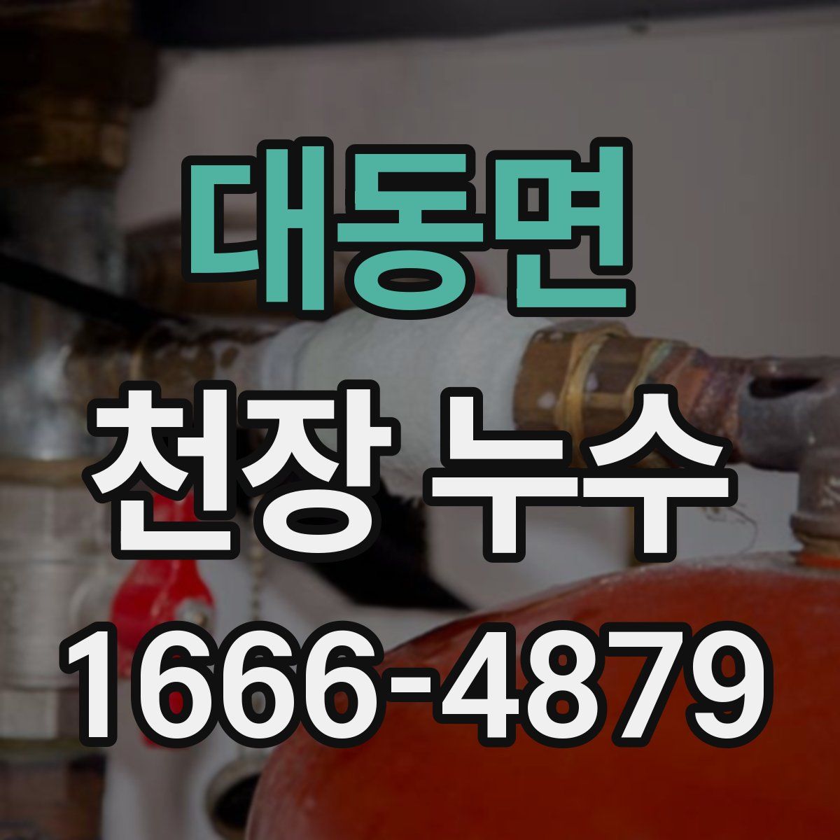 대동면 천장 누수