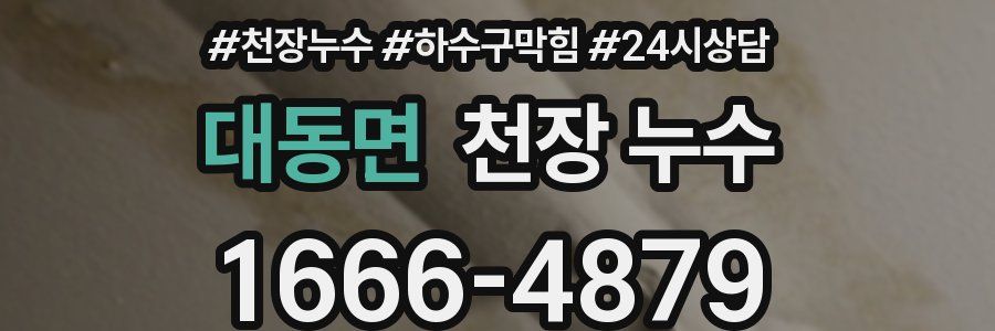 대동면 천장 누수