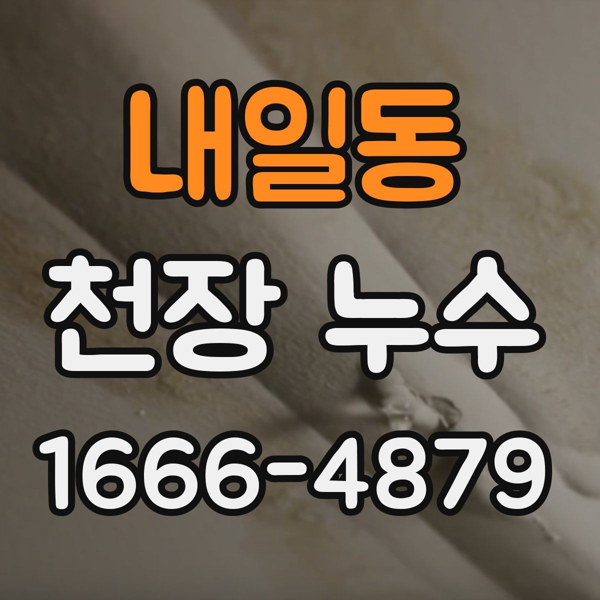 내일동 천장 누수