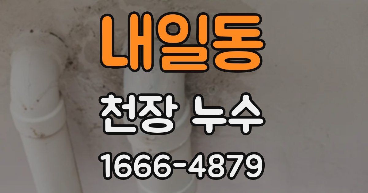 내일동 천장 누수