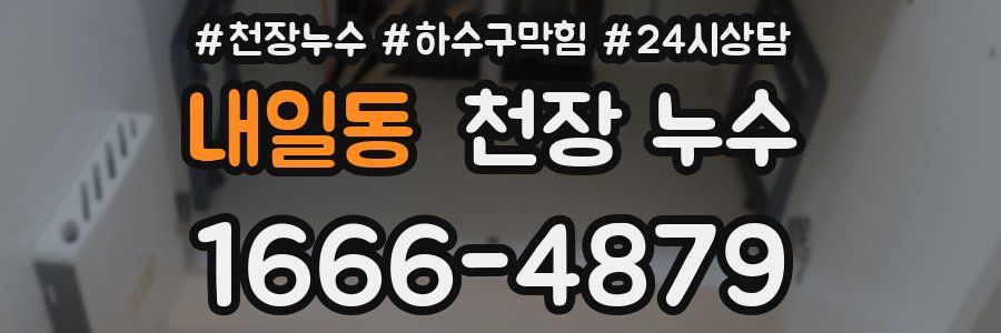 내일동 천장 누수