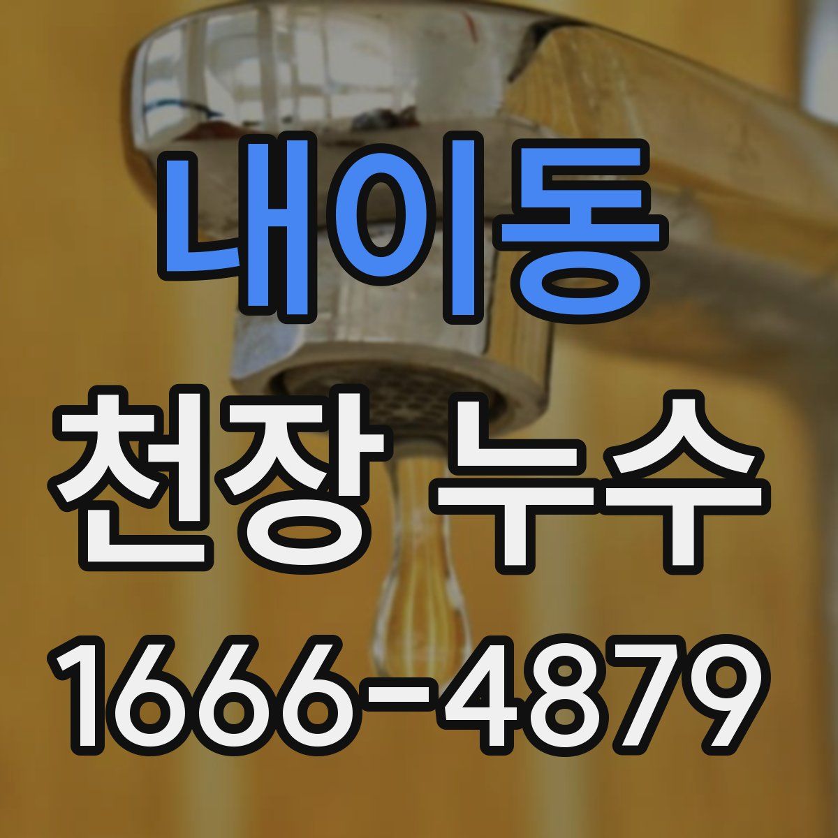 내이동 천장 누수