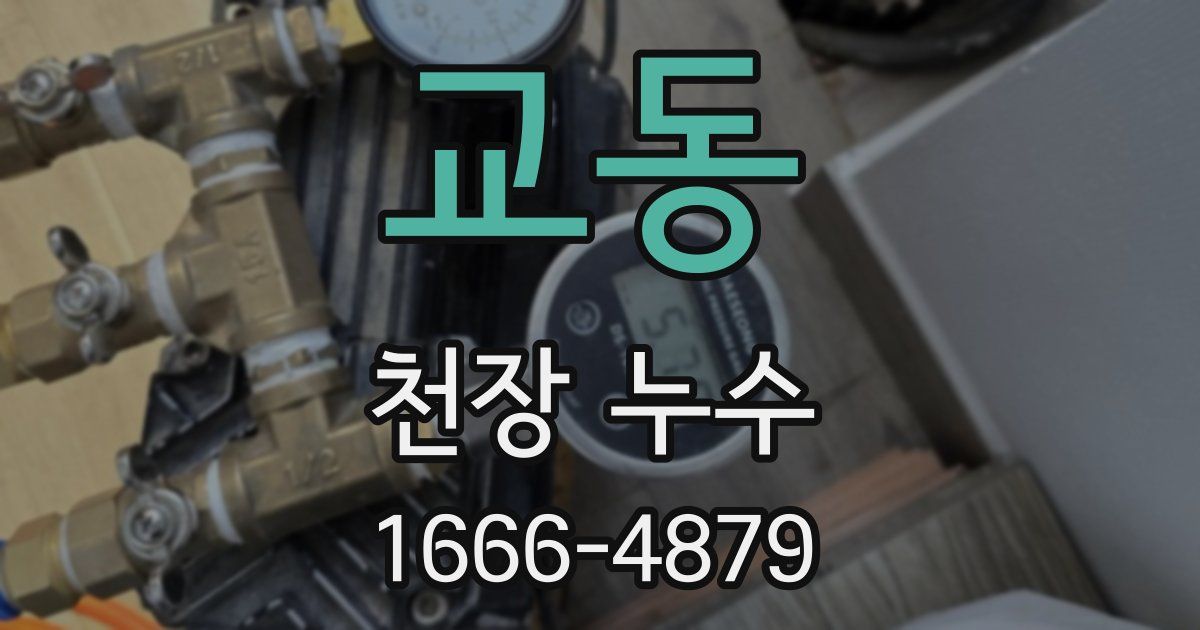 교동 천장 누수