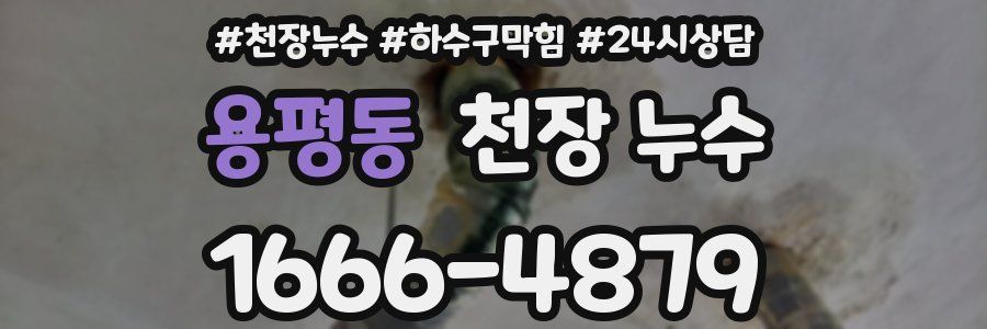 용평동 천장 누수