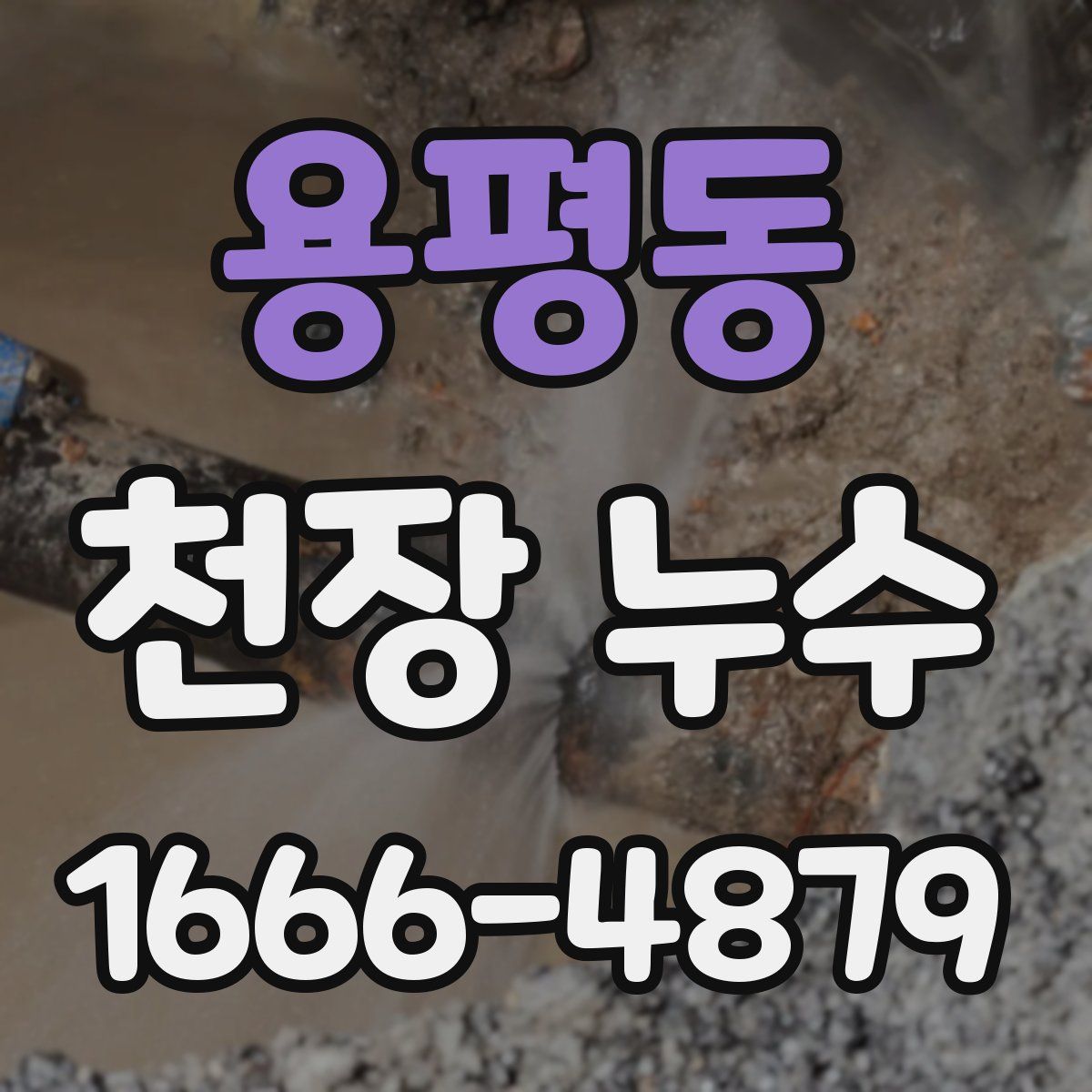 용평동 천장 누수