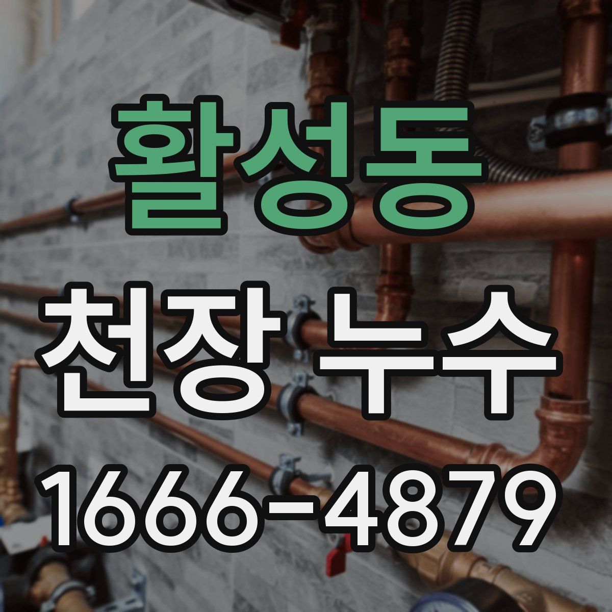 활성동 천장 누수