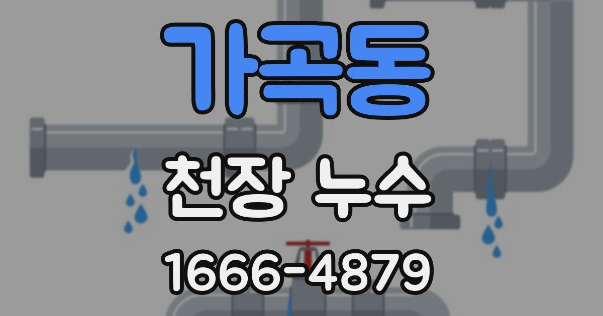 가곡동 천장 누수