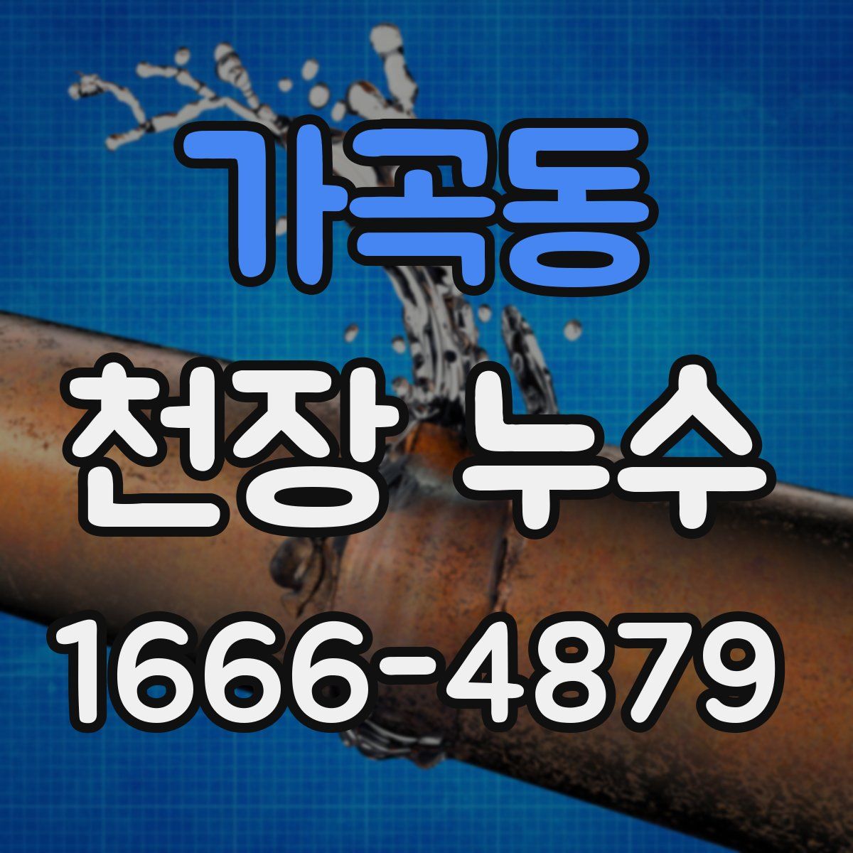 가곡동 천장 누수