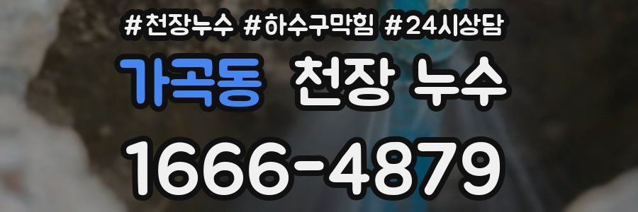 가곡동 천장 누수