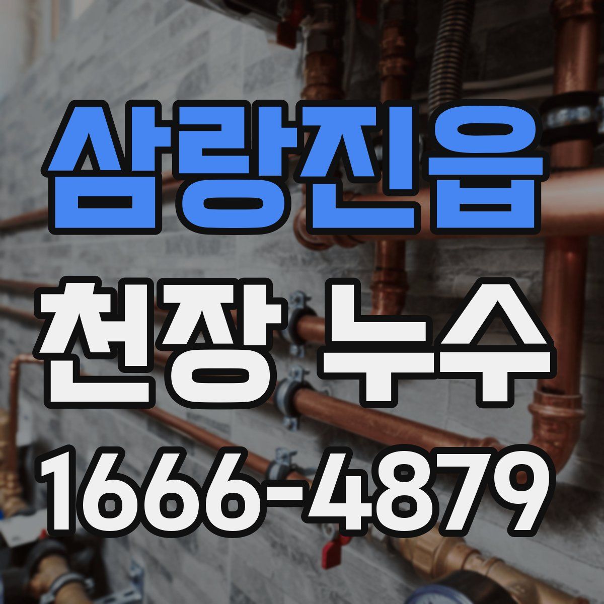 삼랑진읍 천장 누수