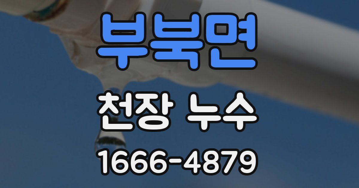 부북면 천장 누수