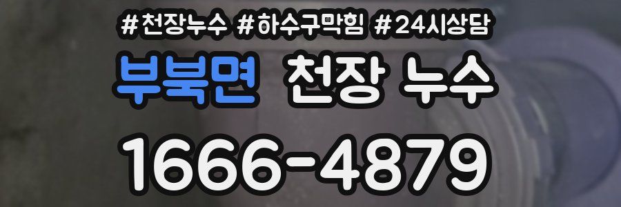 부북면 천장 누수