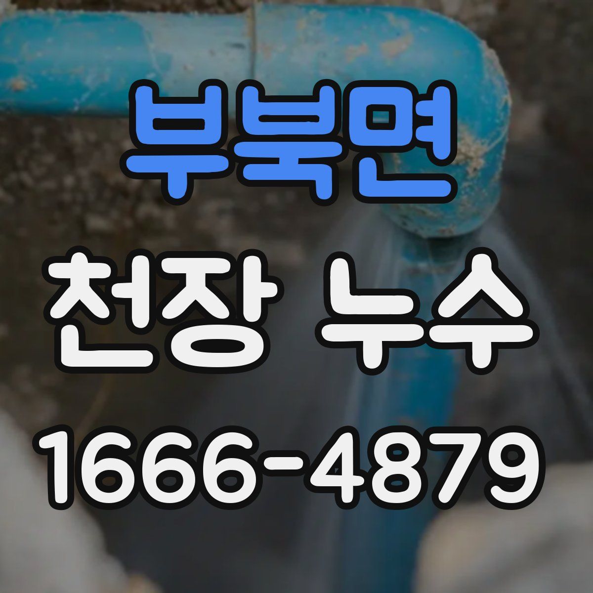 부북면 천장 누수