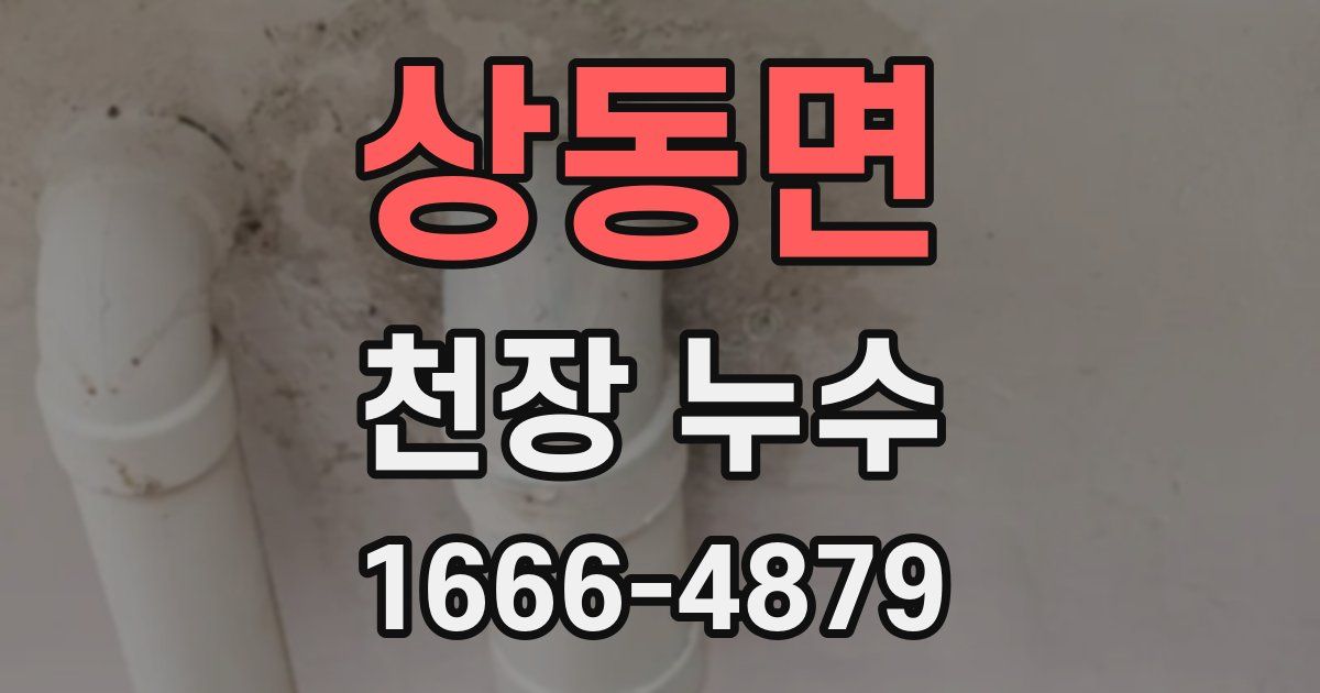 상동면 천장 누수