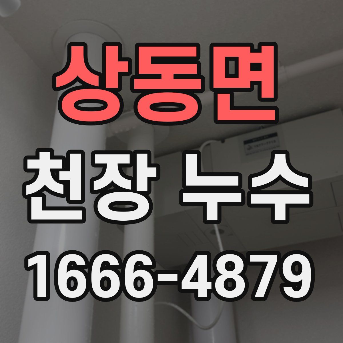 상동면 천장 누수