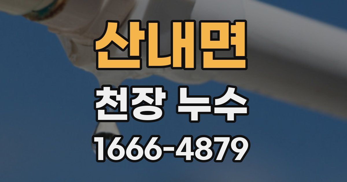 산내면 천장 누수