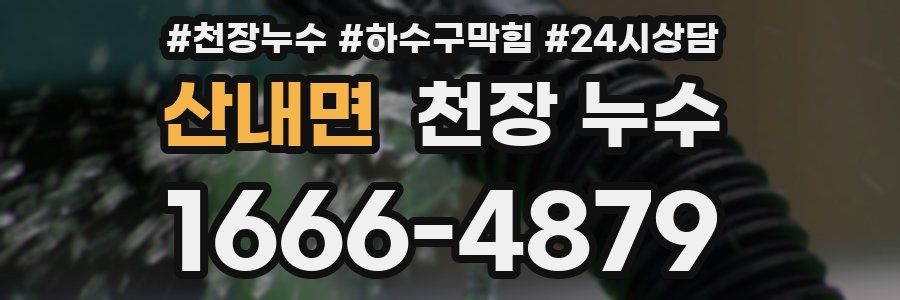 산내면 천장 누수