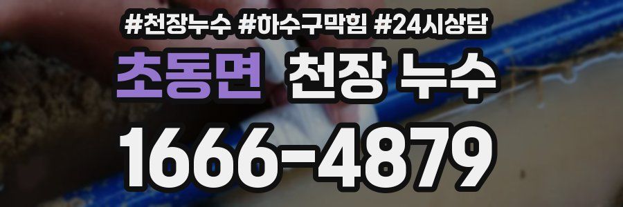 초동면 천장 누수