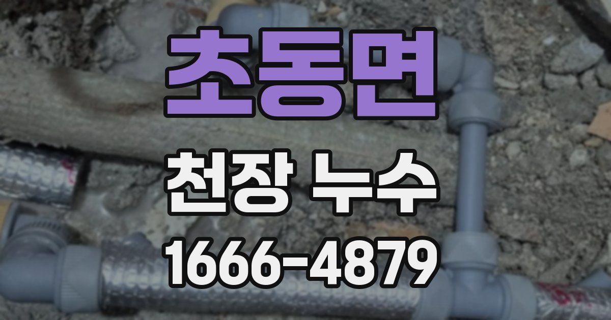 초동면 천장 누수