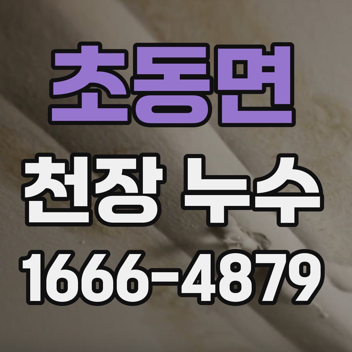 초동면 천장 누수