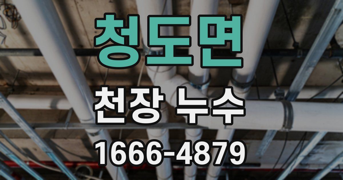 청도면 천장 누수