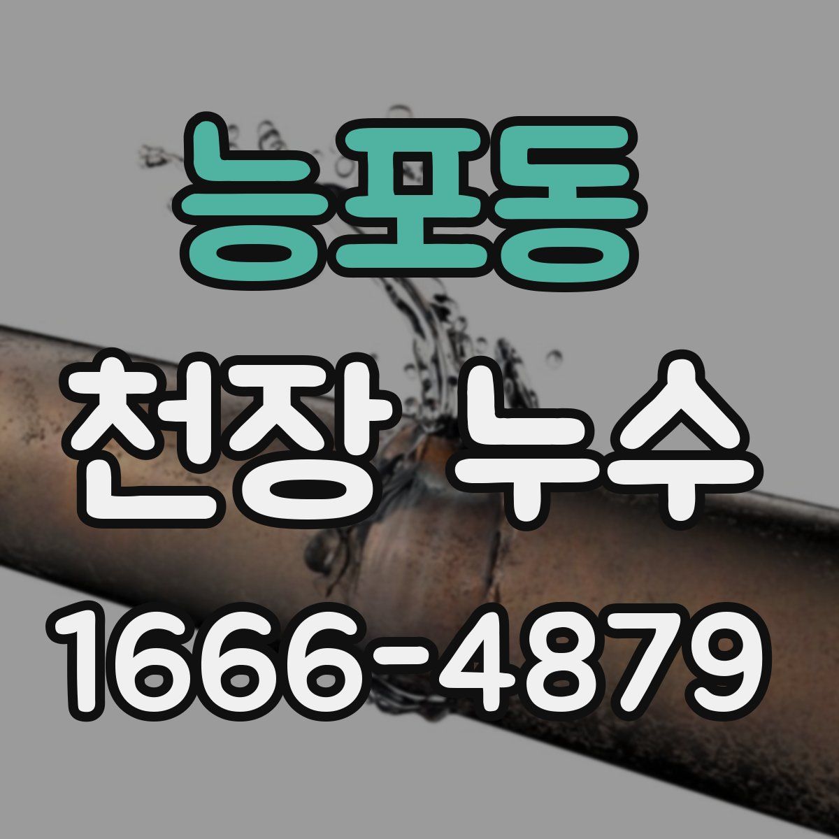 능포동 천장 누수