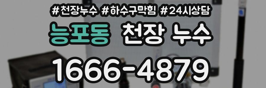 능포동 천장 누수