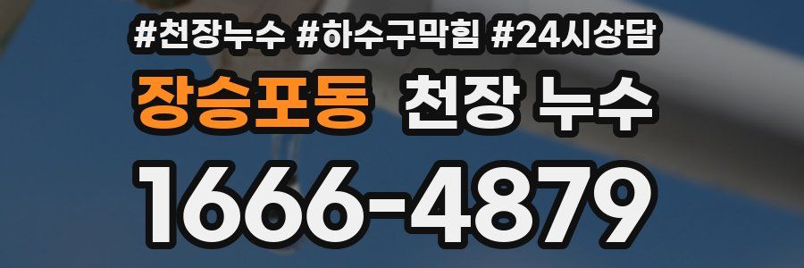 장승포동 천장 누수