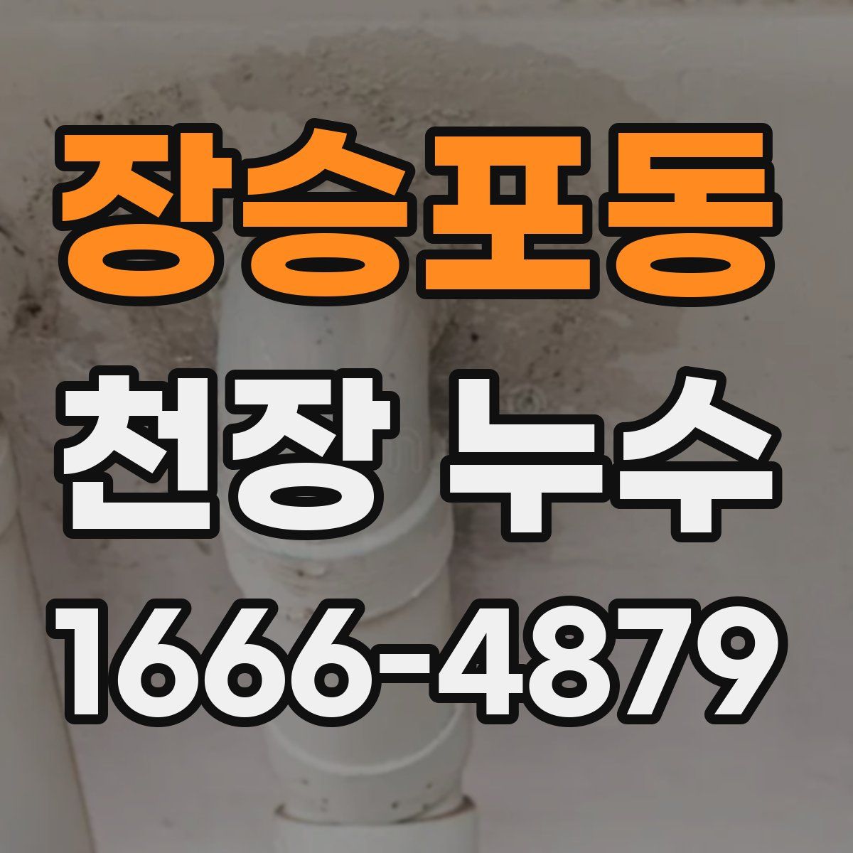 장승포동 천장 누수