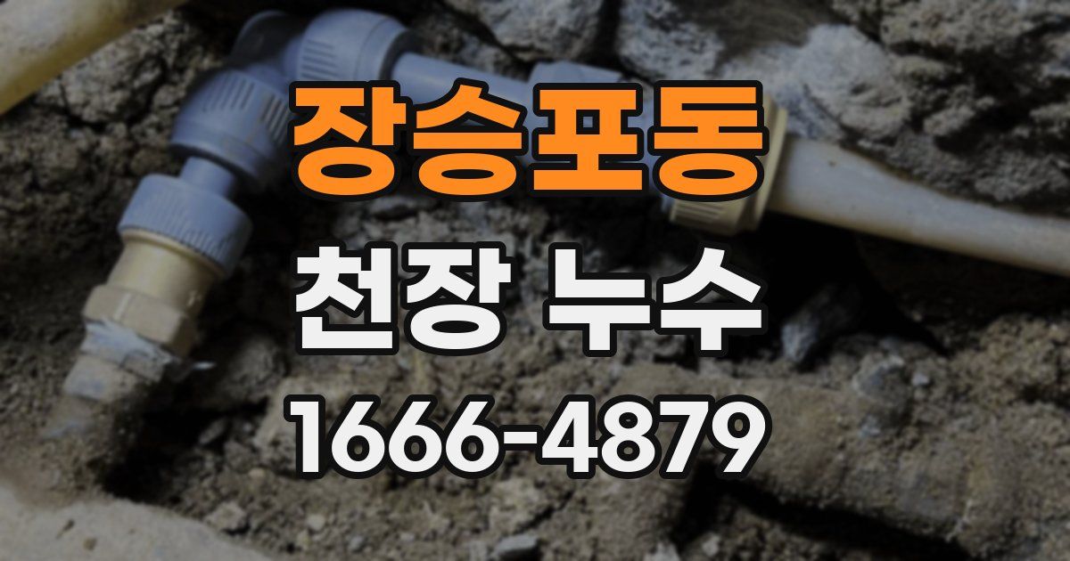 장승포동 천장 누수