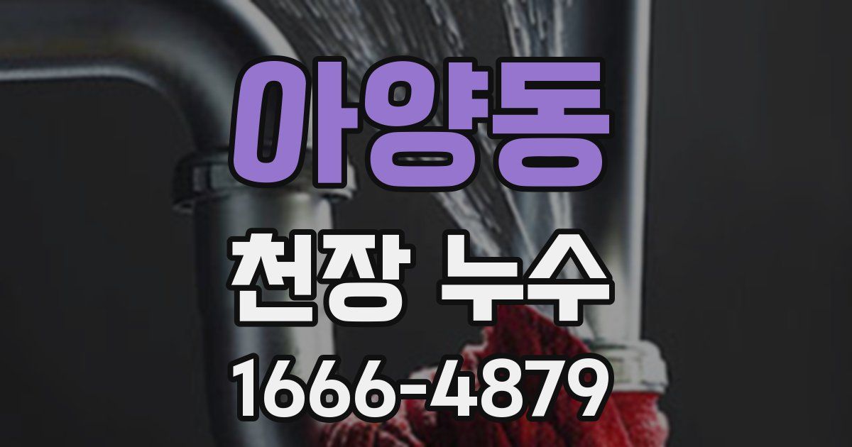 아양동 천장 누수