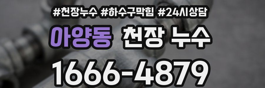 아양동 천장 누수